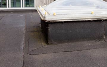 disadvantages of New Road Side flat roofs