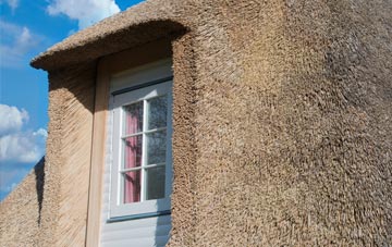 New Road Side thatch roof disadvantages